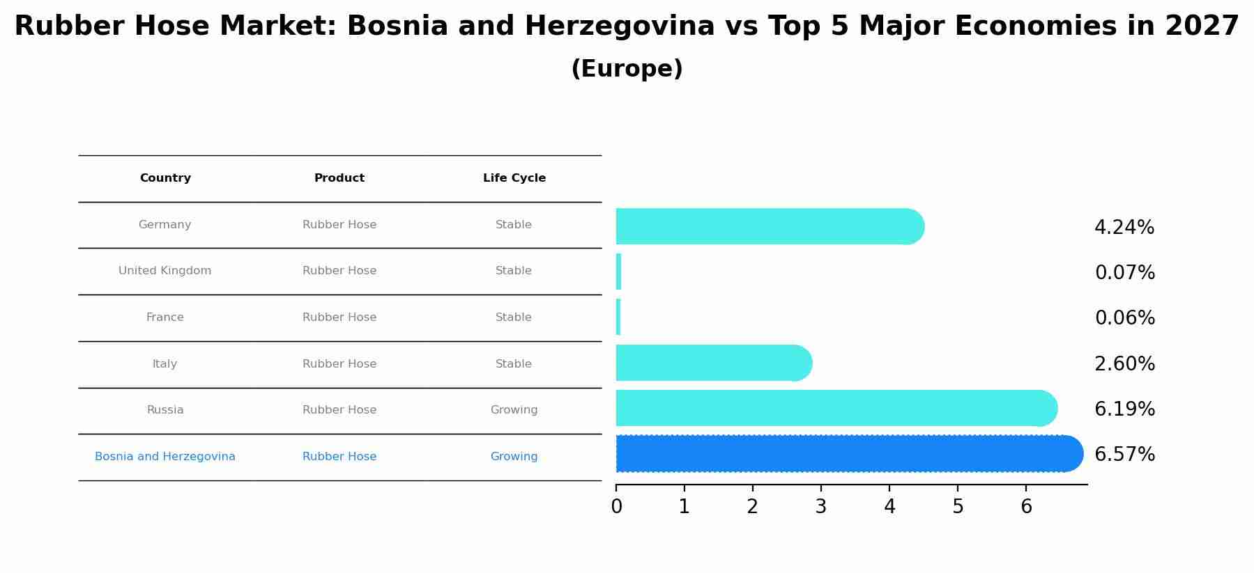 Rubber Hose Market: Bosnia and Herzegovina vs Top 5 Major Economies in 2027 (Europe)