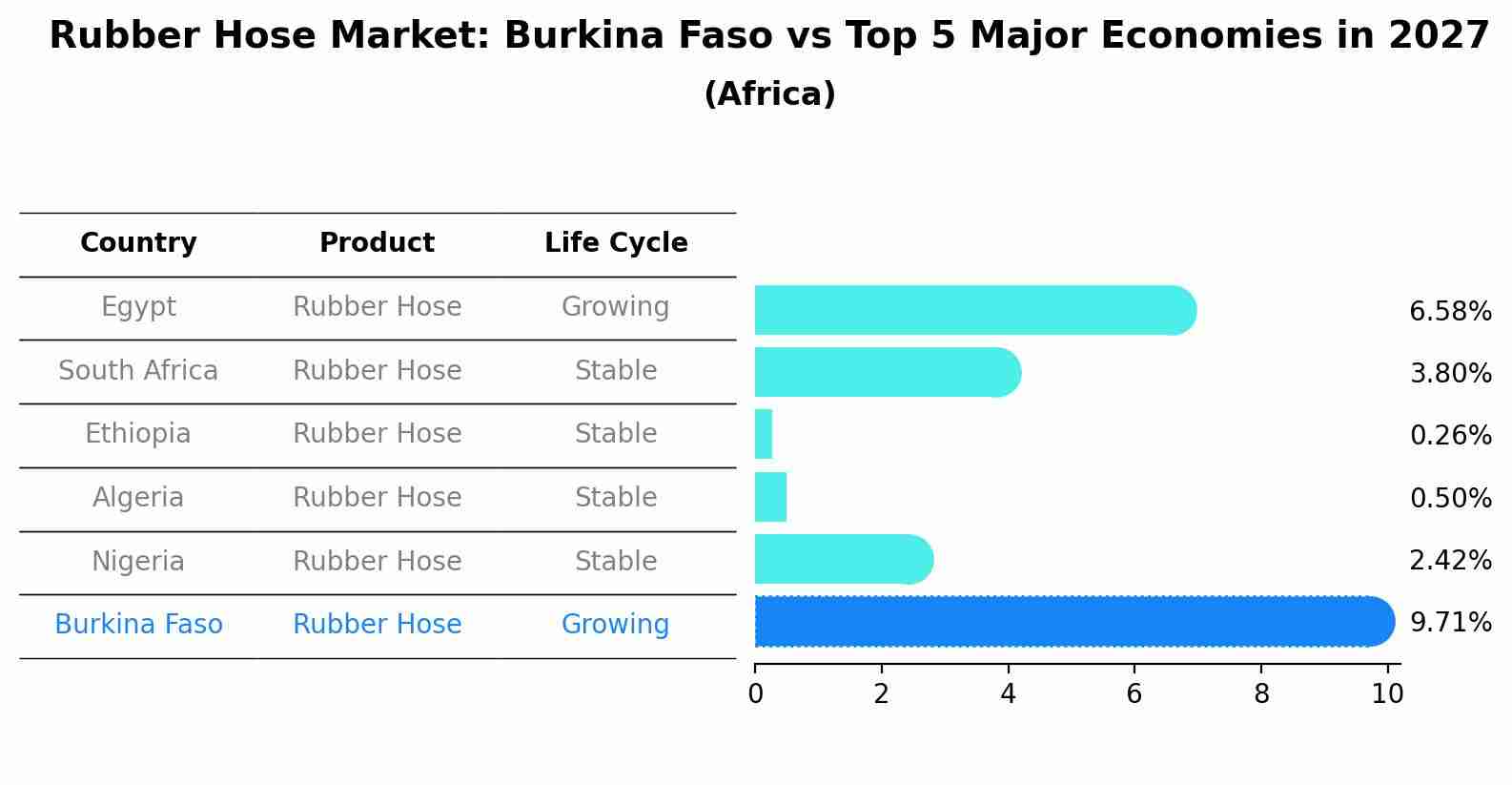 Rubber Hose Market: Burkina Faso vs Top 5 Major Economies in 2027 (Africa)