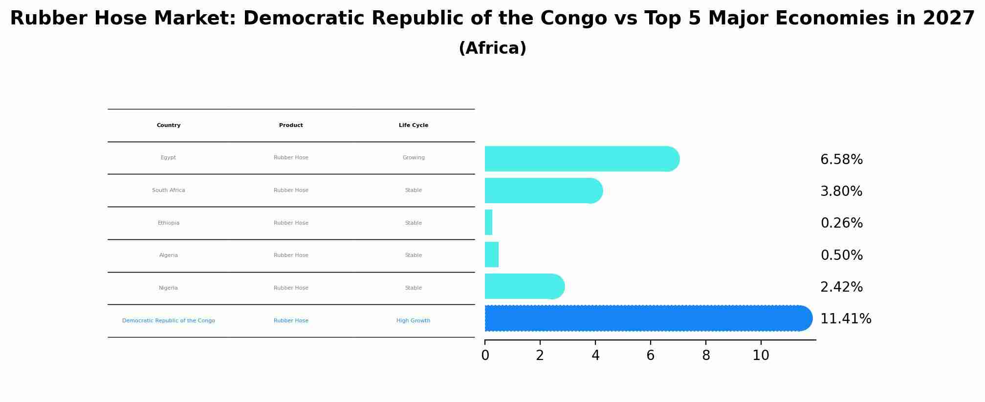 Rubber Hose Market: Democratic Republic of the Congo vs Top 5 Major Economies in 2027 (Africa)