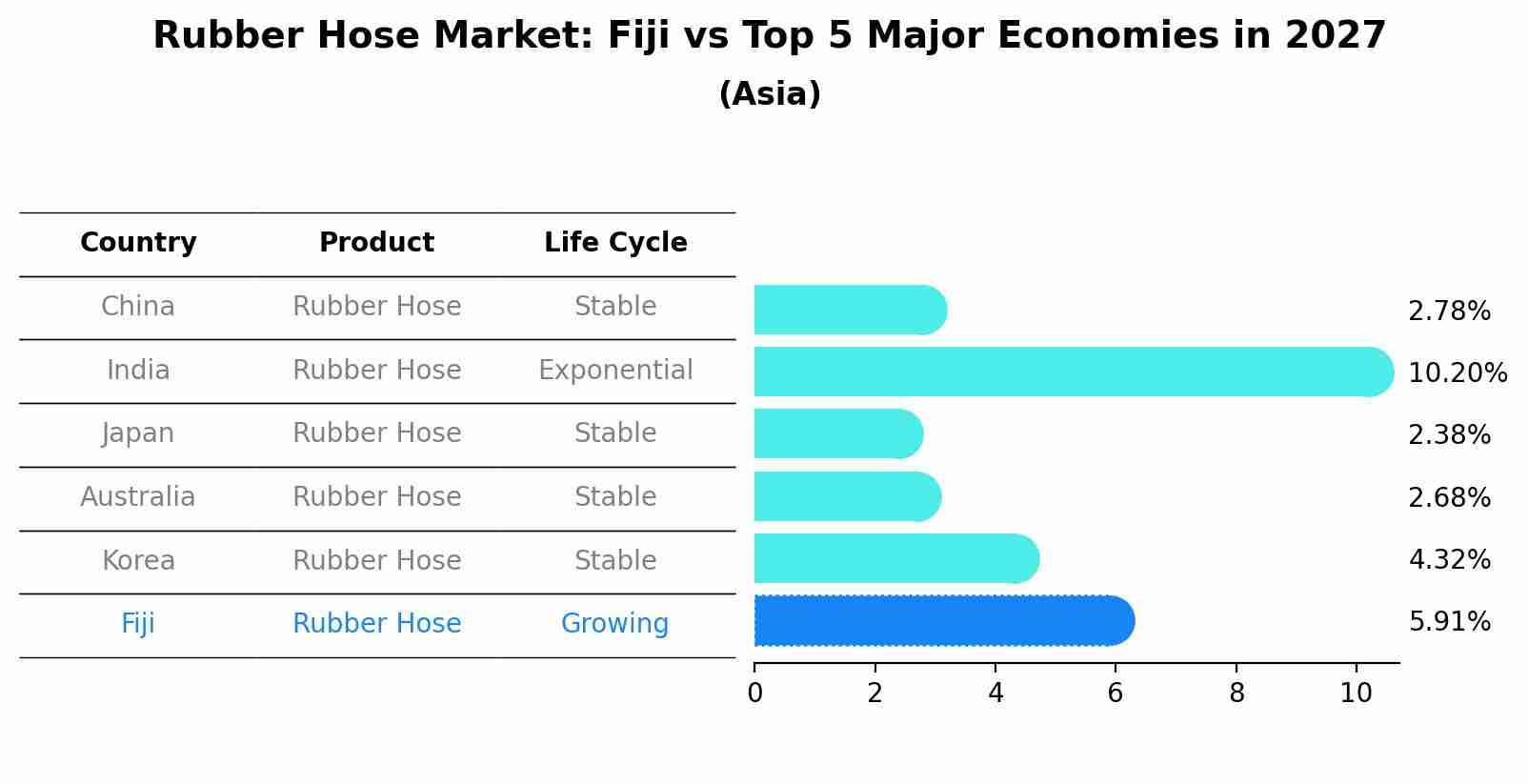 Rubber Hose Market: Fiji vs Top 5 Major Economies in 2027 (Asia)