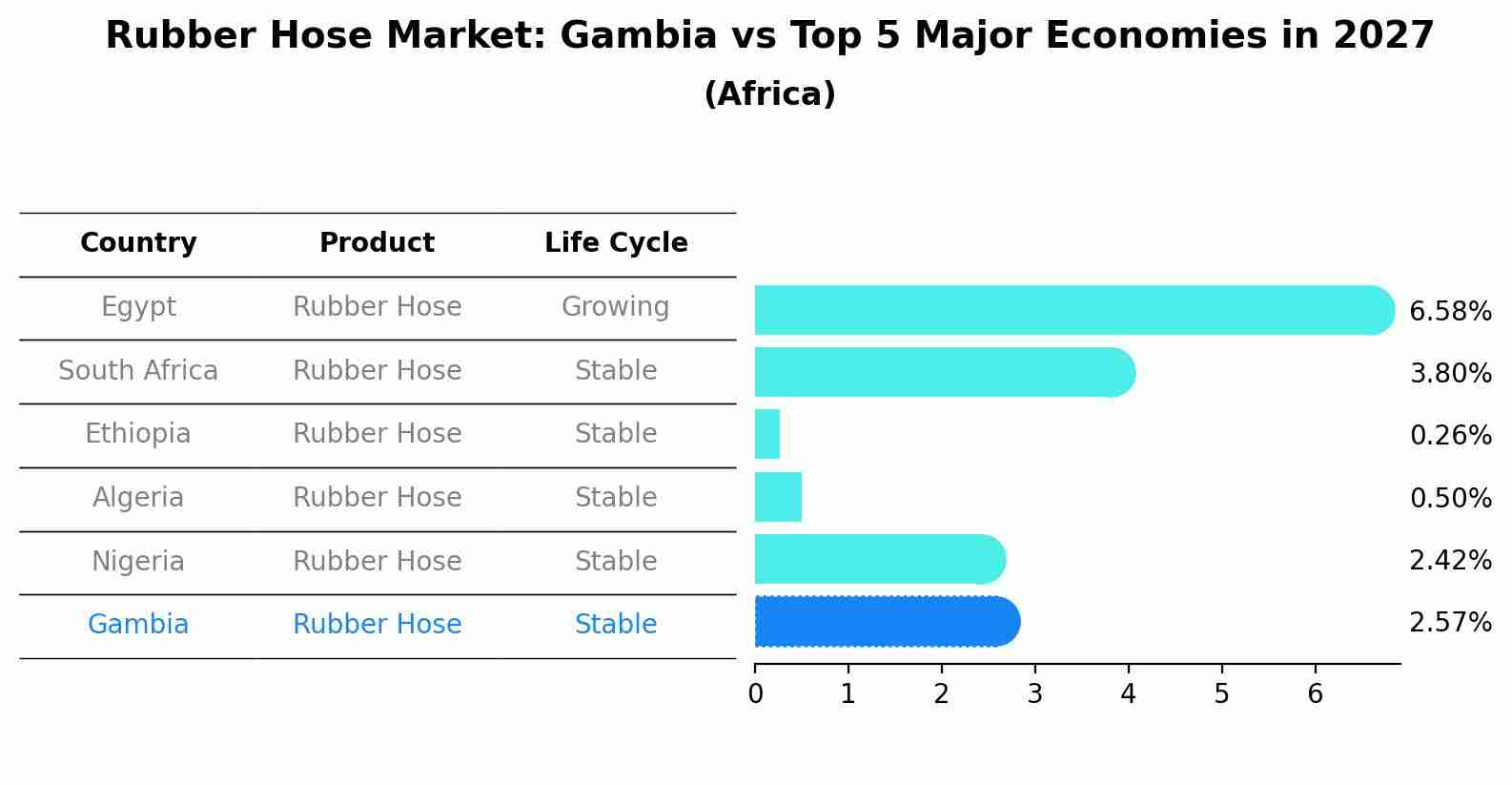 Rubber Hose Market: Gambia vs Top 5 Major Economies in 2027 (Africa)