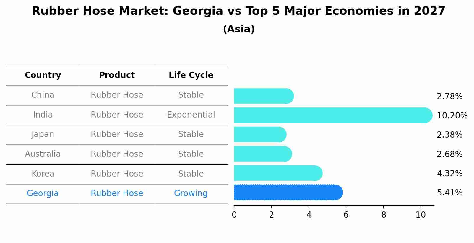 Rubber Hose Market: Georgia vs Top 5 Major Economies in 2027 (Asia)