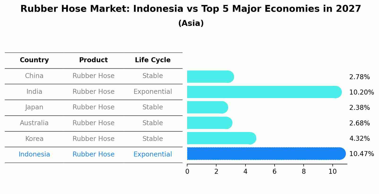 Rubber Hose Market: Indonesia vs Top 5 Major Economies in 2027 (Asia)