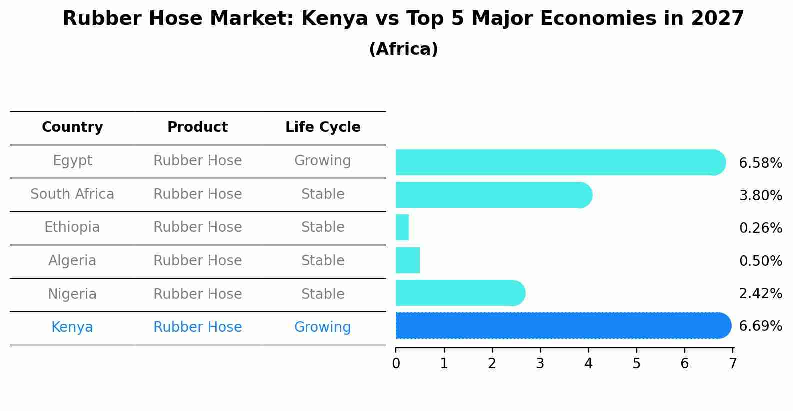 Rubber Hose Market: Kenya vs Top 5 Major Economies in 2027 (Africa)