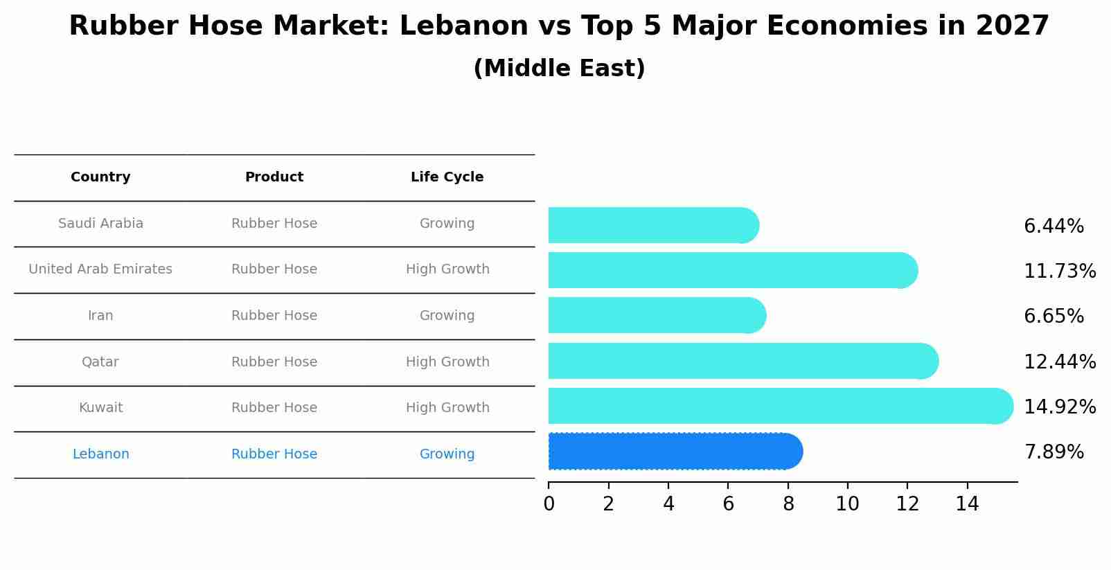 Rubber Hose Market: Lebanon vs Top 5 Major Economies in 2027 (Middle East)