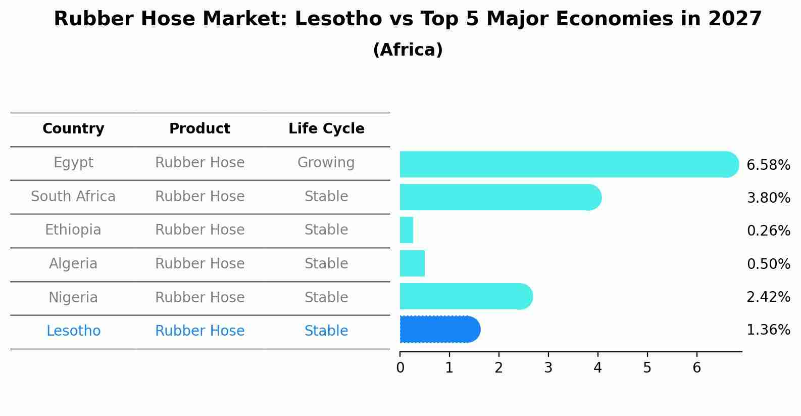 Rubber Hose Market: Lesotho vs Top 5 Major Economies in 2027 (Africa)