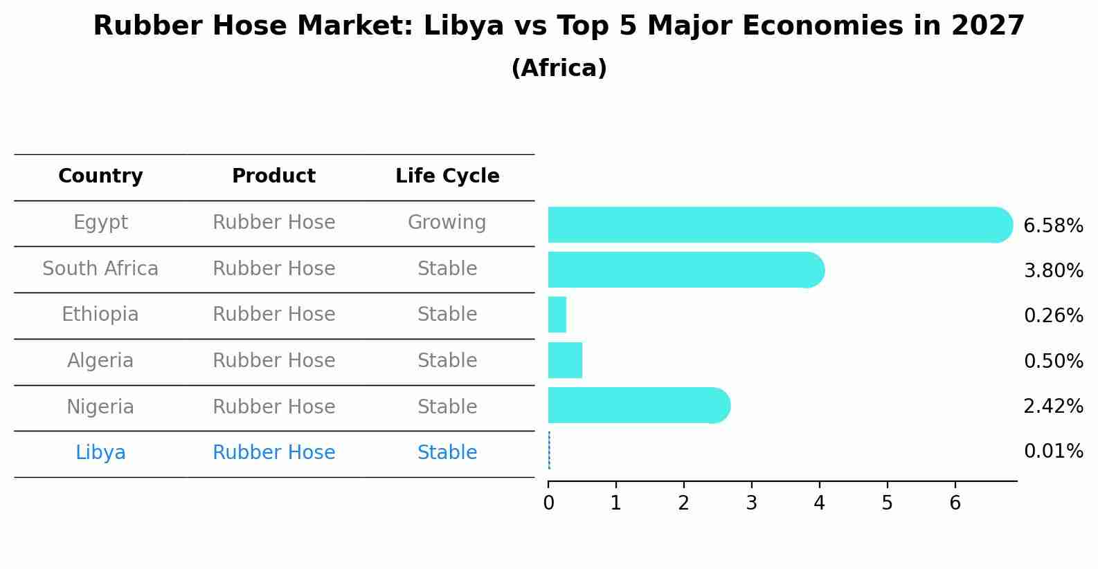 Rubber Hose Market: Libya vs Top 5 Major Economies in 2027 (Africa)