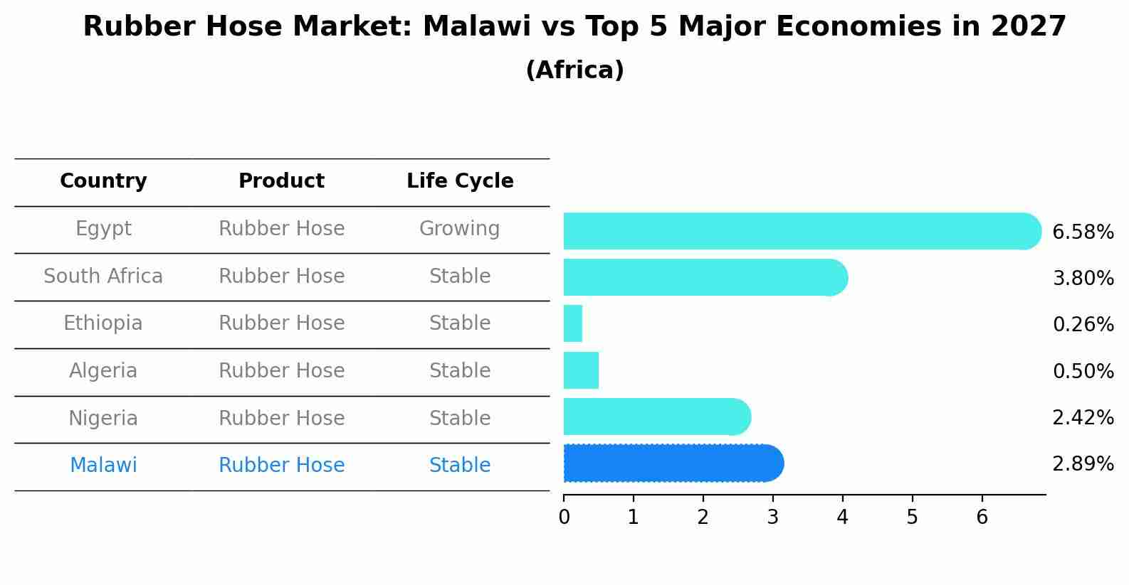 Rubber Hose Market: Malawi vs Top 5 Major Economies in 2027 (Africa)
