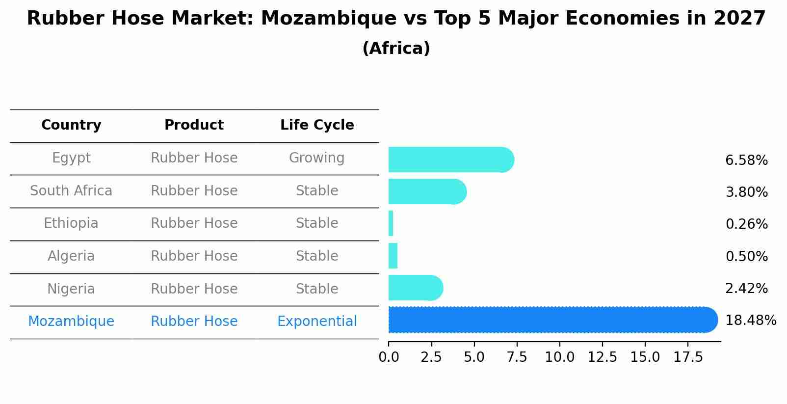 Rubber Hose Market: Mozambique vs Top 5 Major Economies in 2027 (Africa)