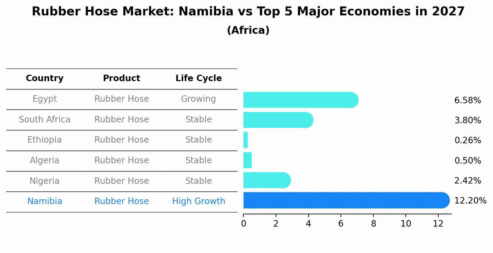 Rubber Hose Market: Namibia vs Top 5 Major Economies in 2027 (Africa)