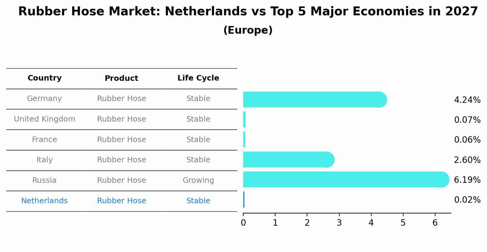 Rubber Hose Market: Netherlands vs Top 5 Major Economies in 2027 (Europe)