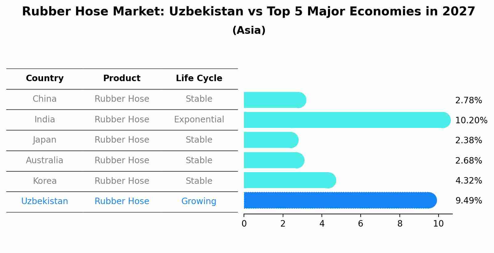Rubber Hose Market: Uzbekistan vs Top 5 Major Economies in 2027 (Asia)