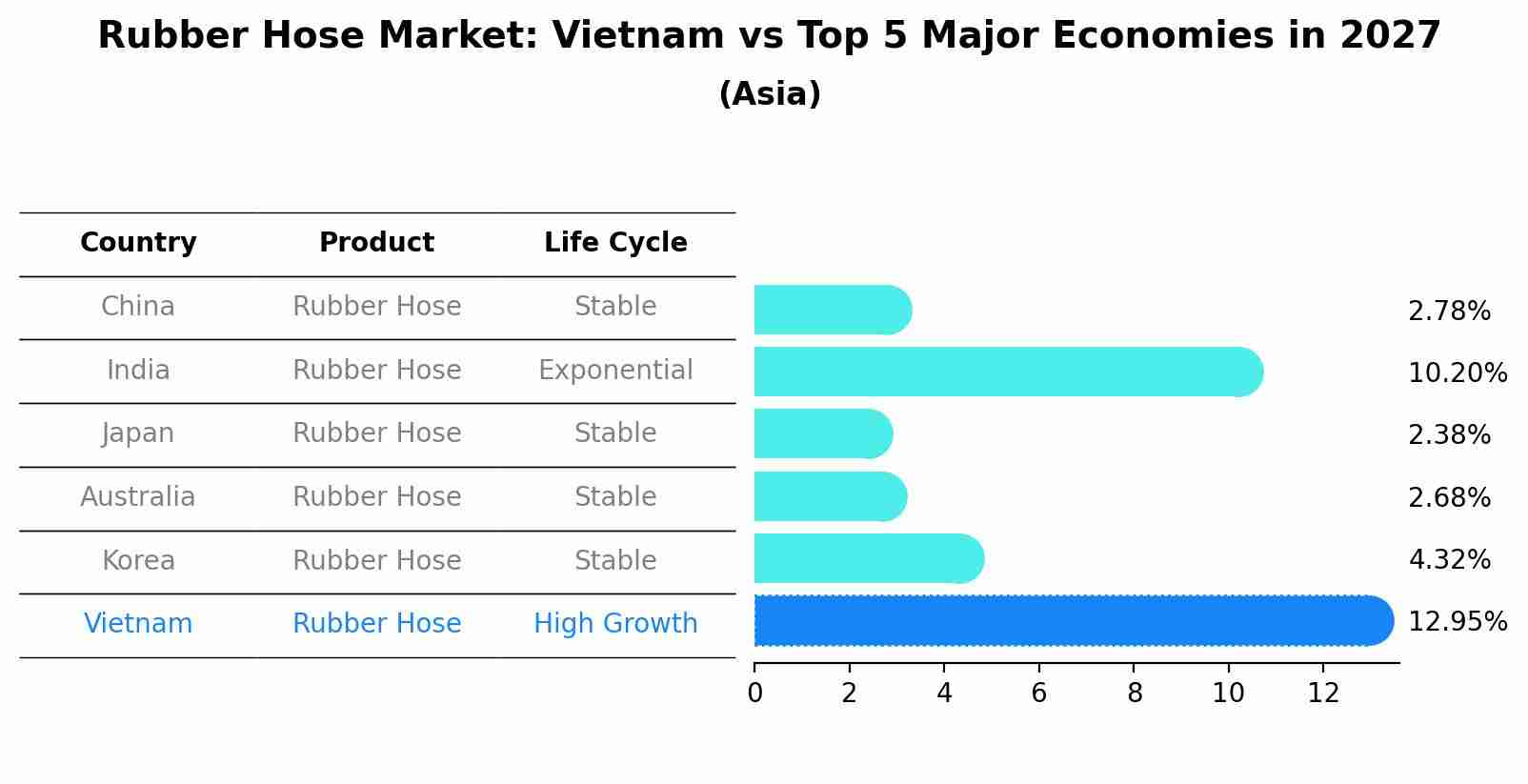 Rubber Hose Market: Vietnam vs Top 5 Major Economies in 2027 (Asia)