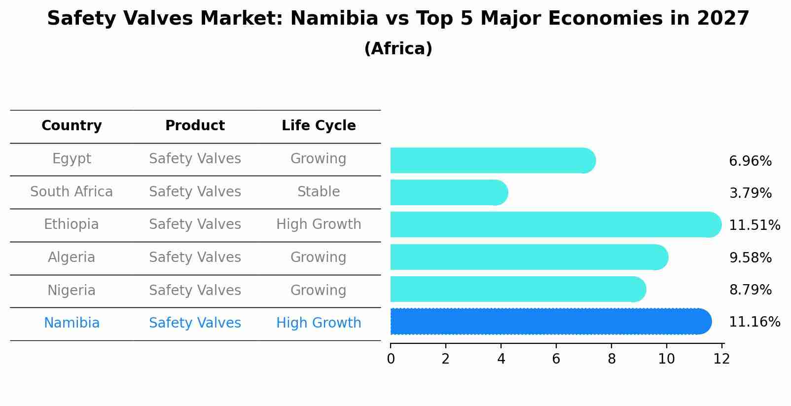 Safety Valves Market: Namibia vs Top 5 Major Economies in 2027 (Africa)