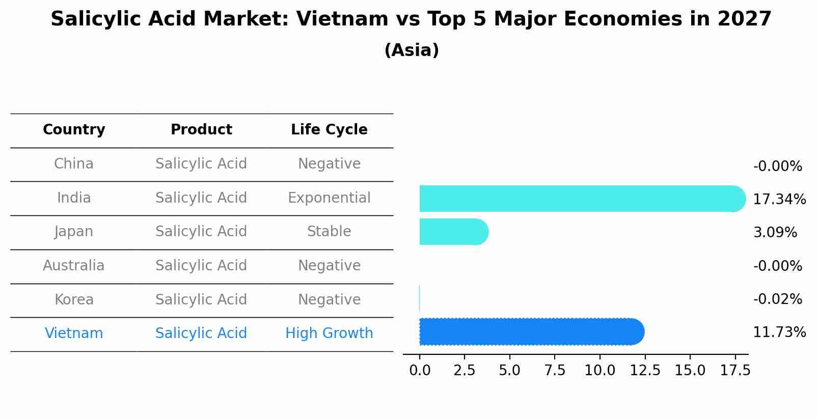 Salicylic Acid Market: Vietnam vs Top 5 Major Economies in 2027 (Asia)