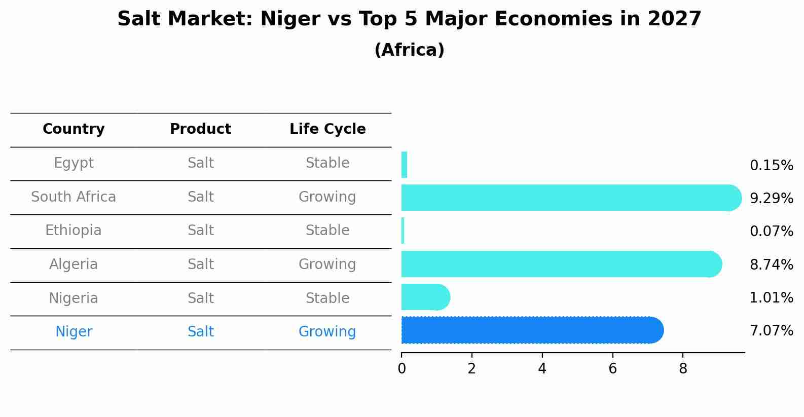 Salt Market: Niger vs Top 5 Major Economies in 2027 (Africa)