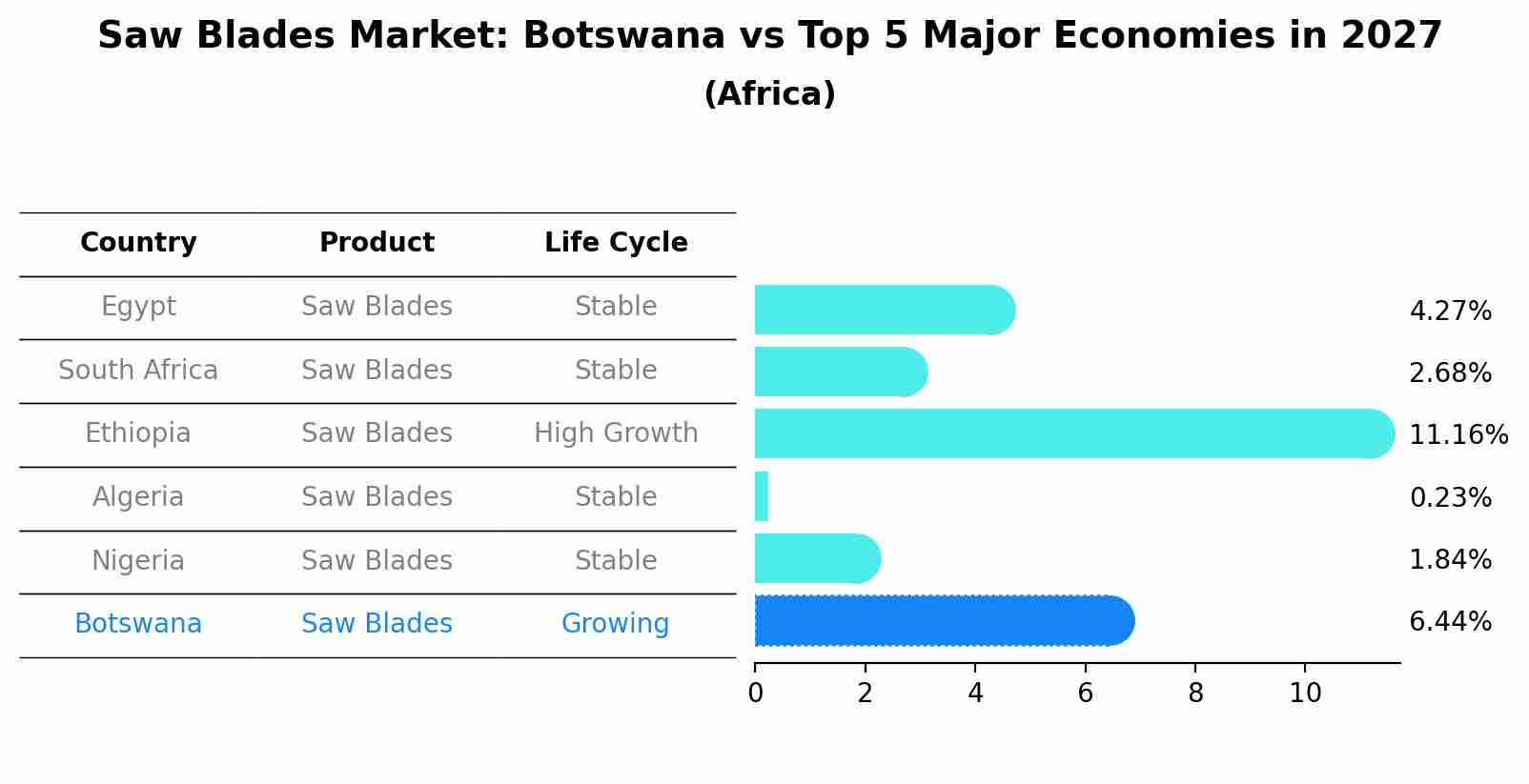 Saw Blades Market: Botswana vs Top 5 Major Economies in 2027 (Africa)