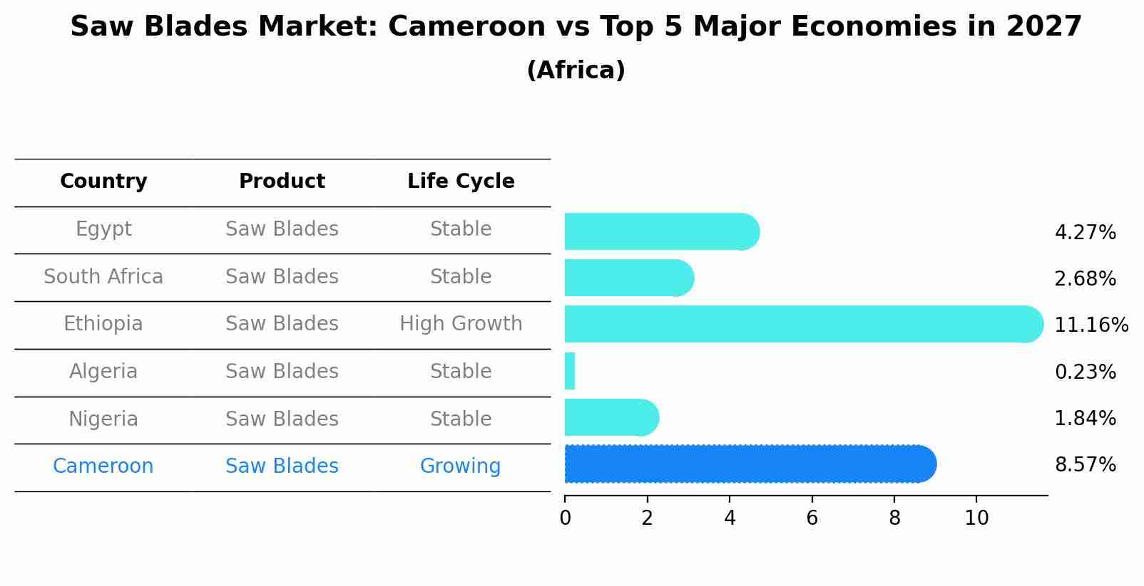 Saw Blades Market: Cameroon vs Top 5 Major Economies in 2027 (Africa)