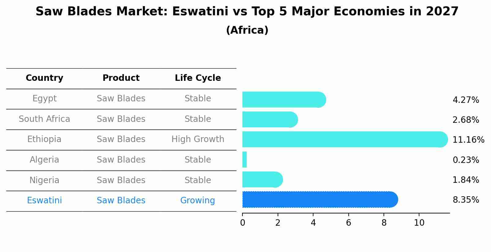 Saw Blades Market: Eswatini vs Top 5 Major Economies in 2027 (Africa)