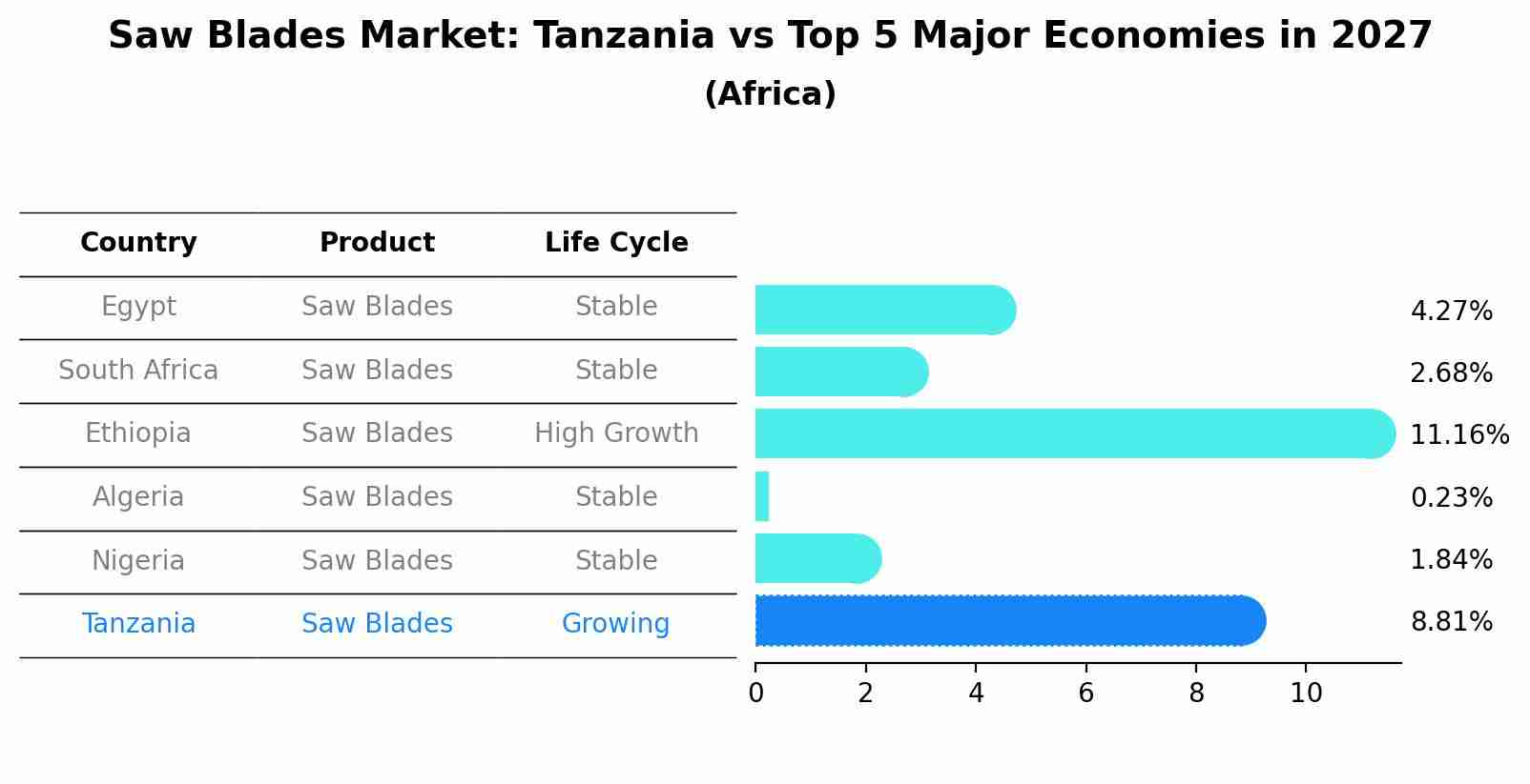 Saw Blades Market: Tanzania vs Top 5 Major Economies in 2027 (Africa)