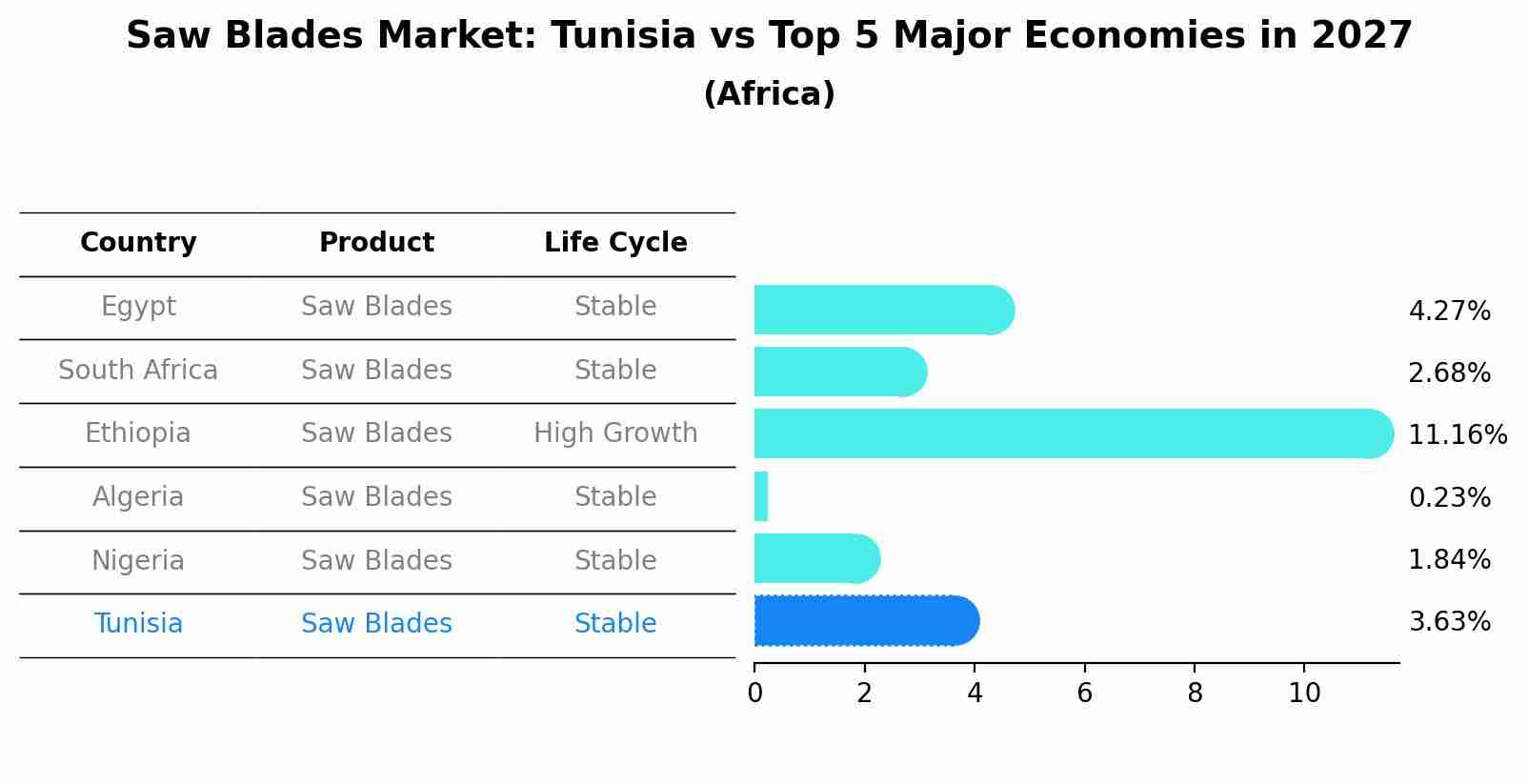 Saw Blades Market: Tunisia vs Top 5 Major Economies in 2027 (Africa)