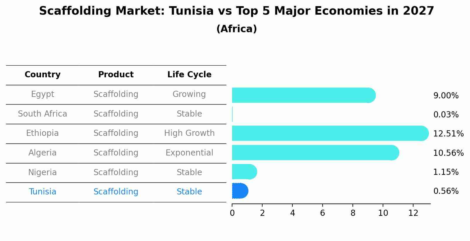 Scaffolding Market: Tunisia vs Top 5 Major Economies in 2027 (Africa)