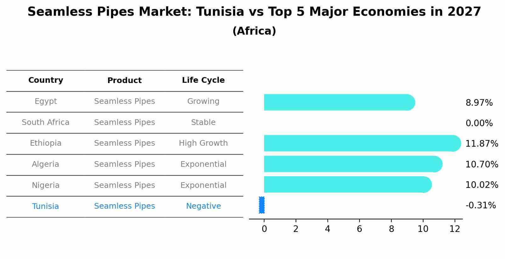 Seamless Pipes Market: Tunisia vs Top 5 Major Economies in 2027 (Africa)