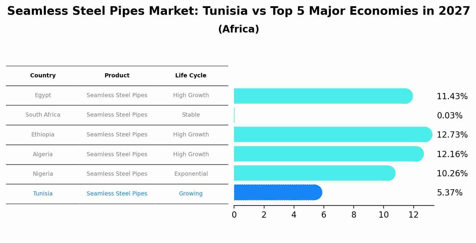 Seamless Steel Pipes Market: Tunisia vs Top 5 Major Economies in 2027 (Africa)