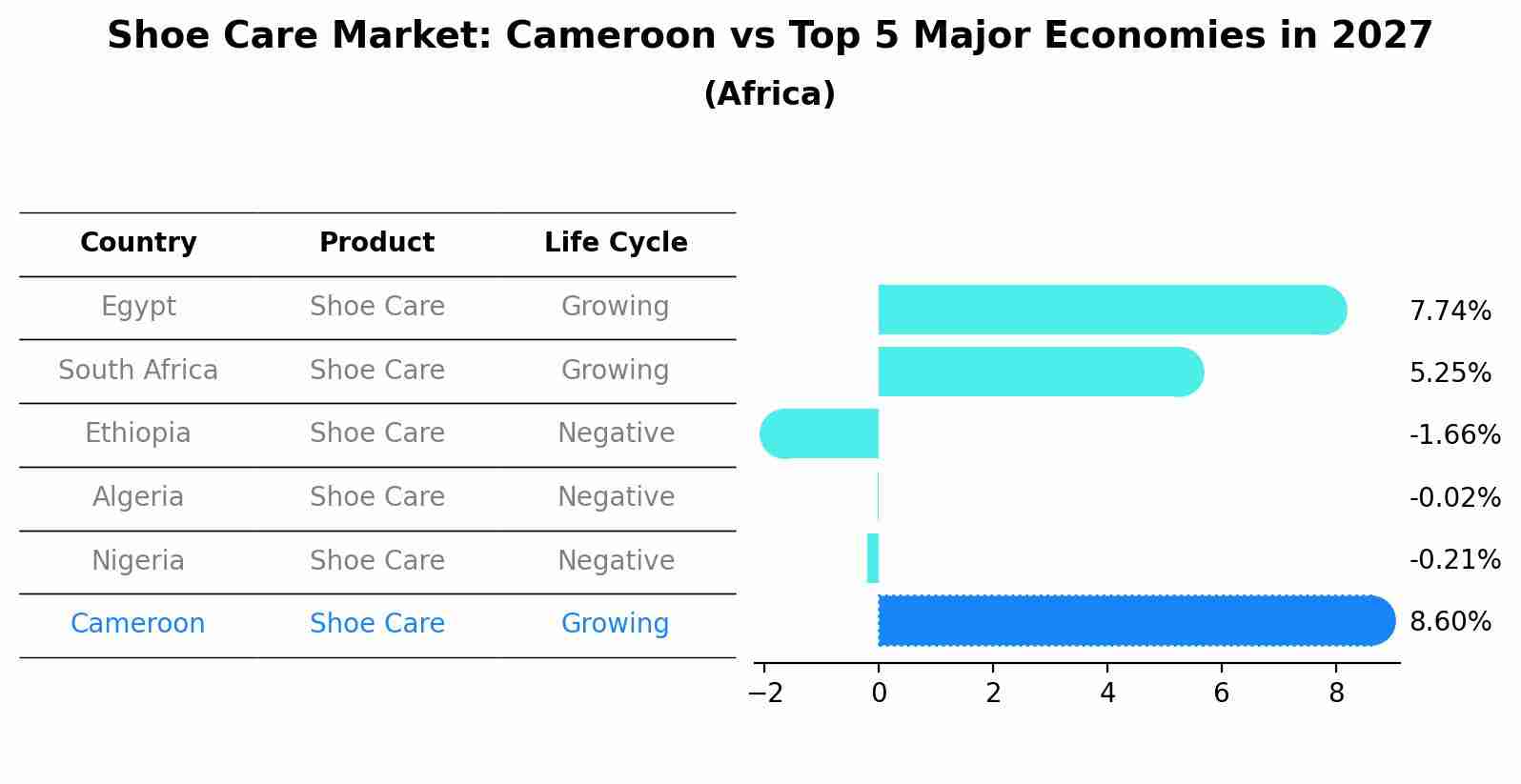 Shoe Care Market: Cameroon vs Top 5 Major Economies in 2027 (Africa)