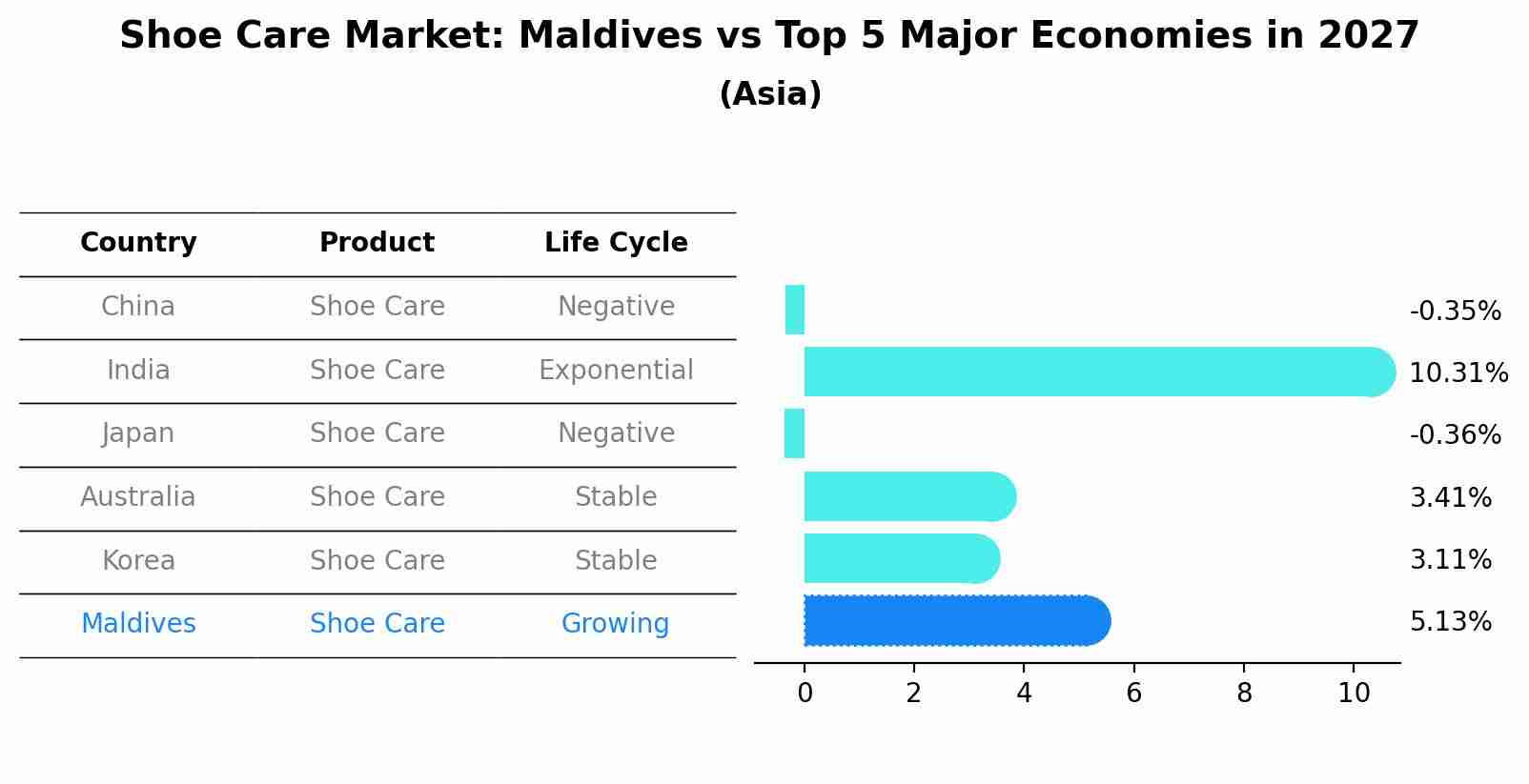 Shoe Care Market: Maldives vs Top 5 Major Economies in 2027 (Asia)