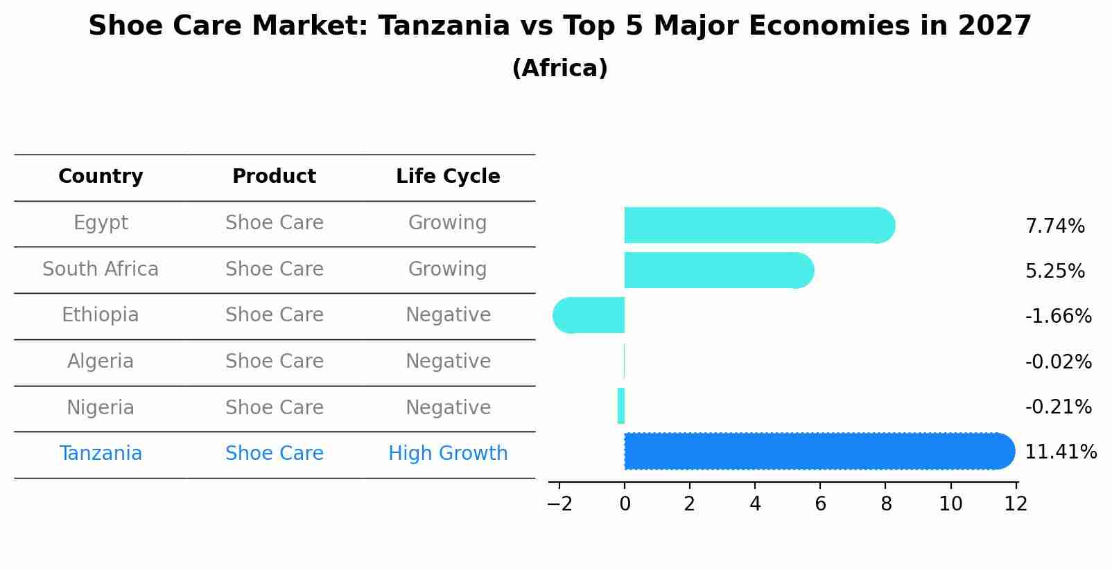Shoe Care Market: Tanzania vs Top 5 Major Economies in 2027 (Africa)