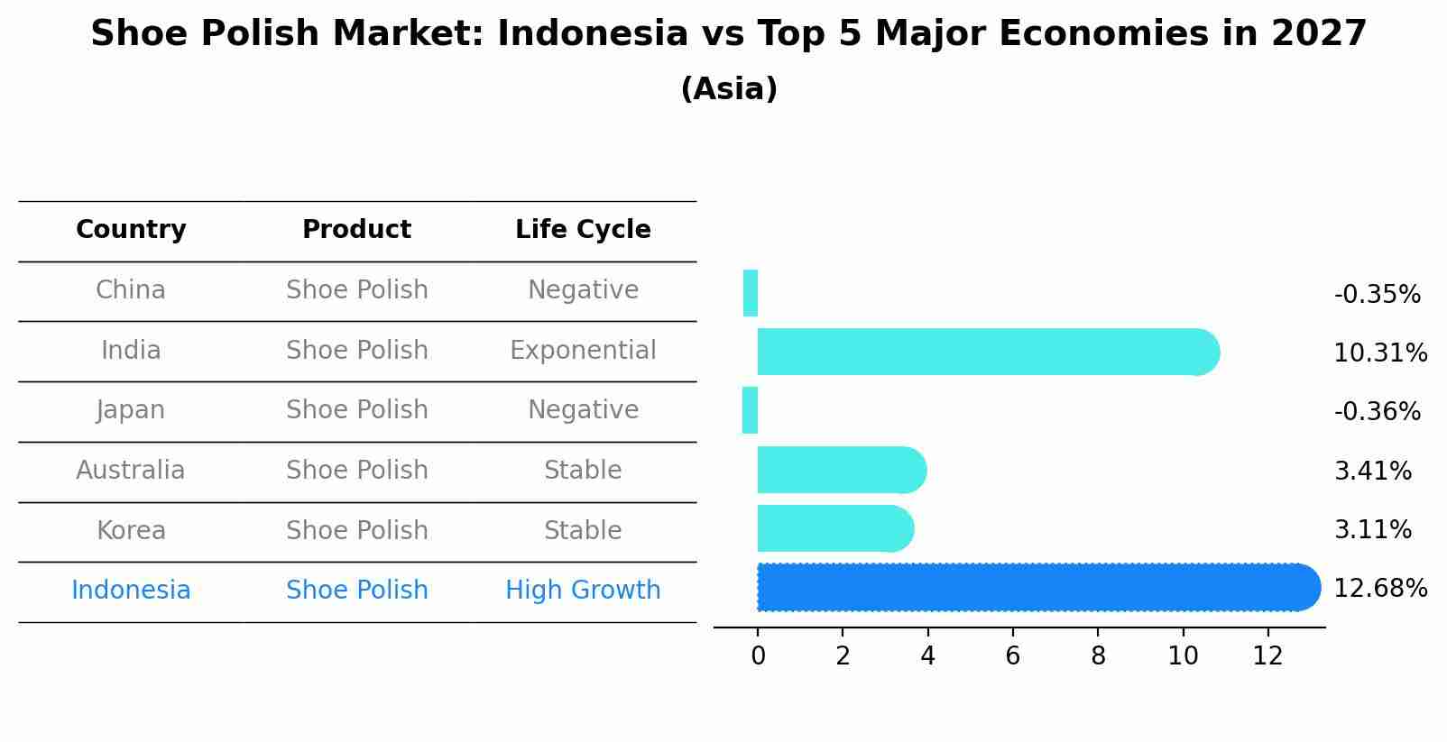 Shoe Polish Market: Indonesia vs Top 5 Major Economies in 2027 (Asia)