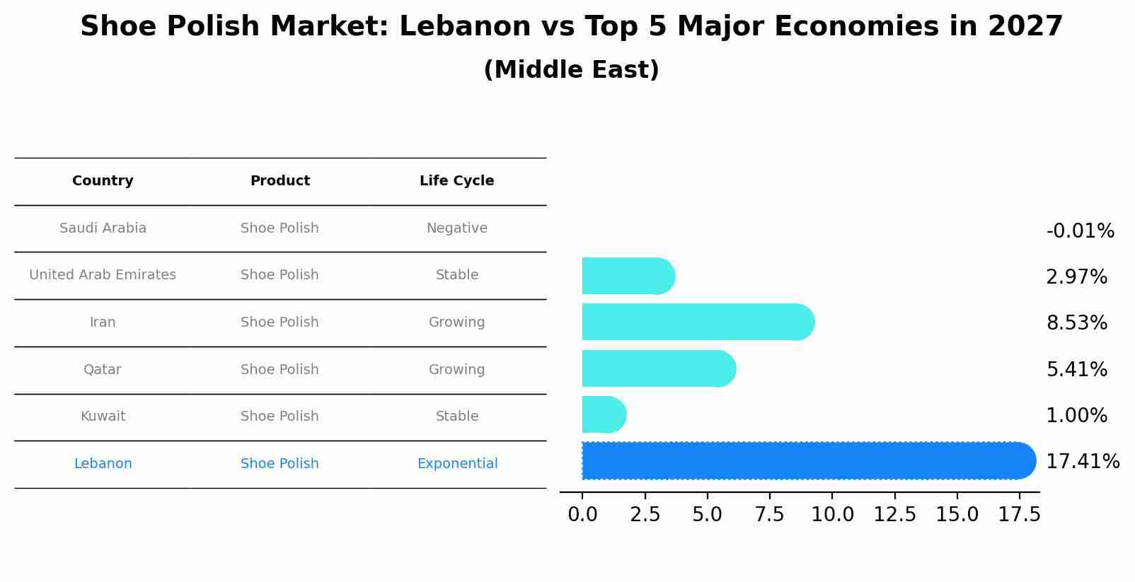 Shoe Polish Market: Lebanon vs Top 5 Major Economies in 2027 (Middle East)
