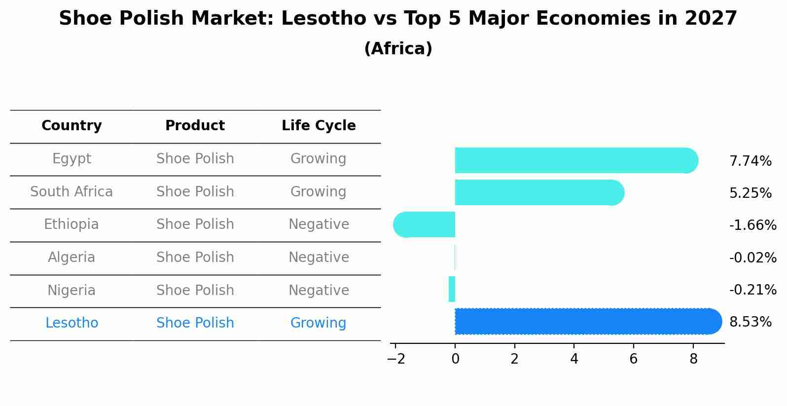 Shoe Polish Market: Lesotho vs Top 5 Major Economies in 2027 (Africa)