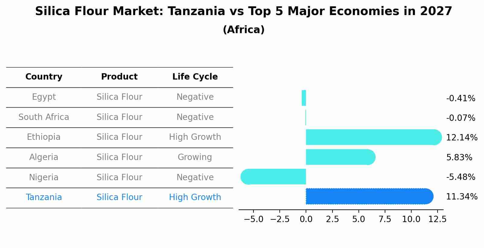 Silica Flour Market: Tanzania vs Top 5 Major Economies in 2027 (Africa)