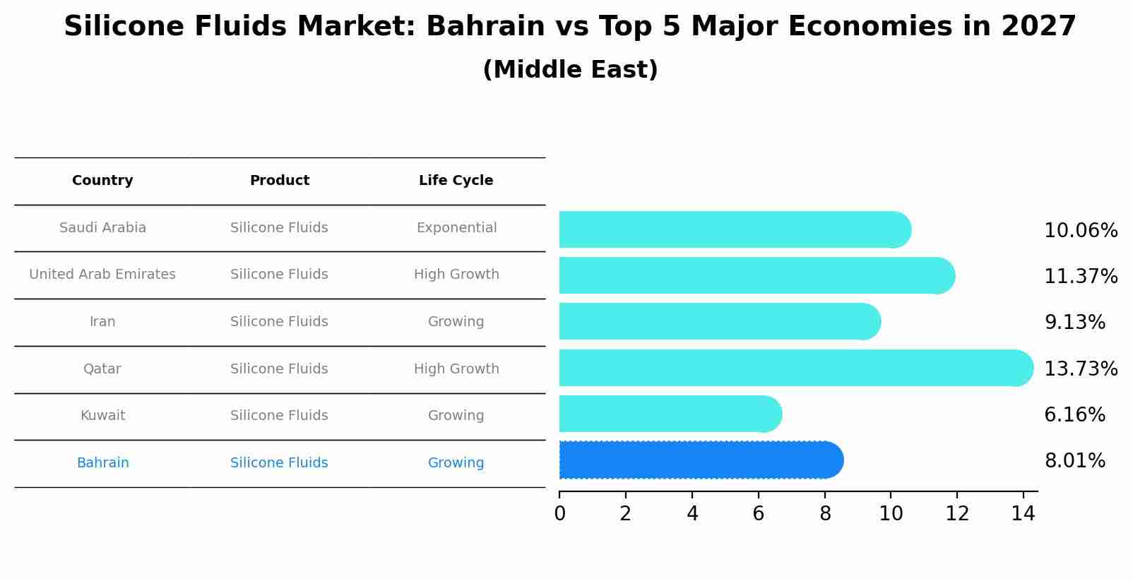 Silicone Fluids Market: Bahrain vs Top 5 Major Economies in 2027 (Middle East)