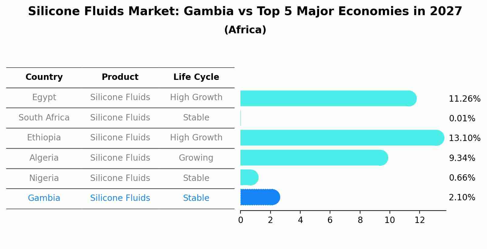 Silicone Fluids Market: Gambia vs Top 5 Major Economies in 2027 (Africa)