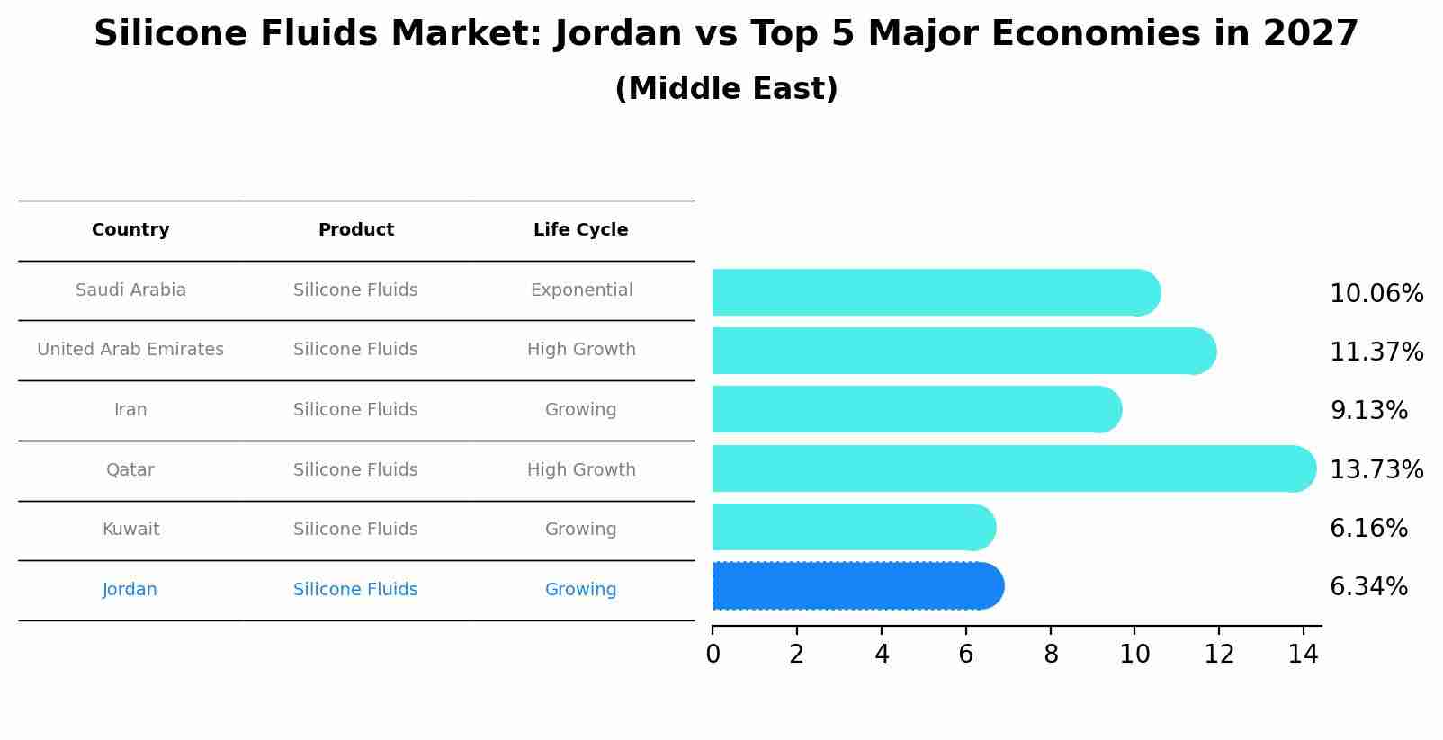 Silicone Fluids Market: Jordan vs Top 5 Major Economies in 2027 (Middle East)