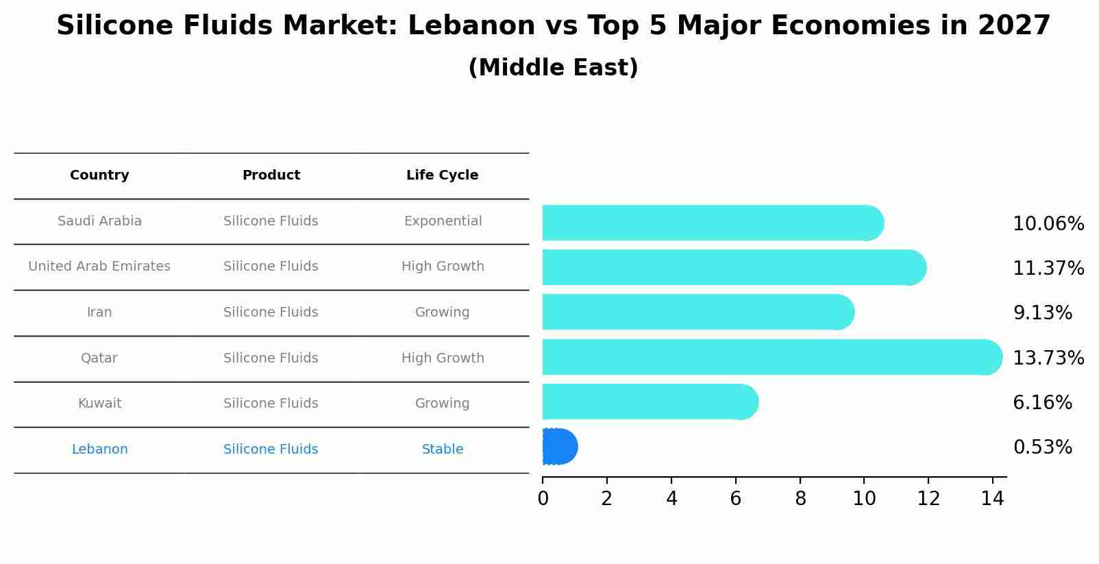 Silicone Fluids Market: Lebanon vs Top 5 Major Economies in 2027 (Middle East)