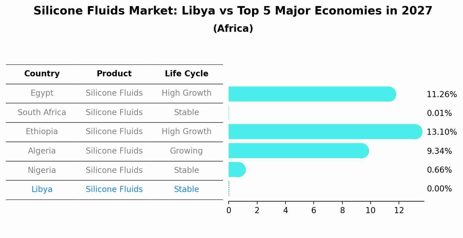 Silicone Fluids Market: Libya vs Top 5 Major Economies in 2027 (Africa)