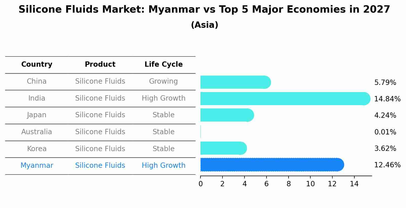 Silicone Fluids Market: Myanmar vs Top 5 Major Economies in 2027 (Asia)