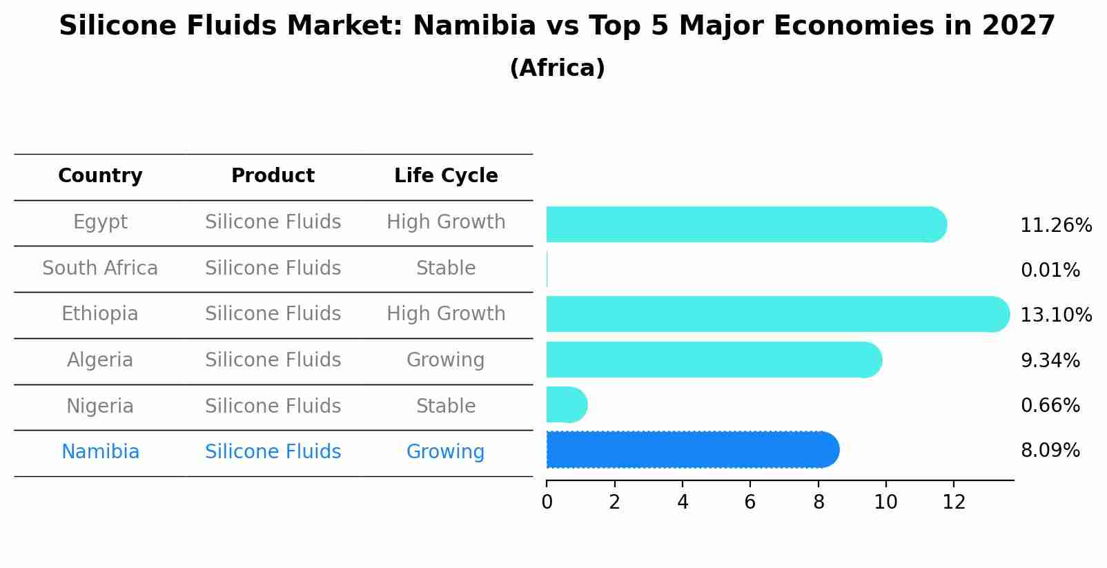 Silicone Fluids Market: Namibia vs Top 5 Major Economies in 2027 (Africa)