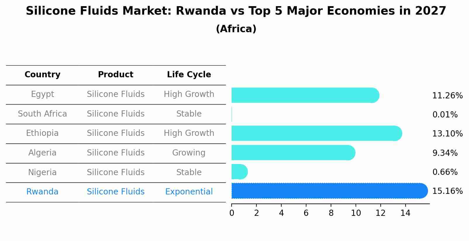 Silicone Fluids Market: Rwanda vs Top 5 Major Economies in 2027 (Africa)