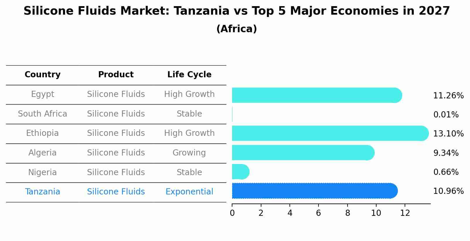 Silicone Fluids Market: Tanzania vs Top 5 Major Economies in 2027 (Africa)