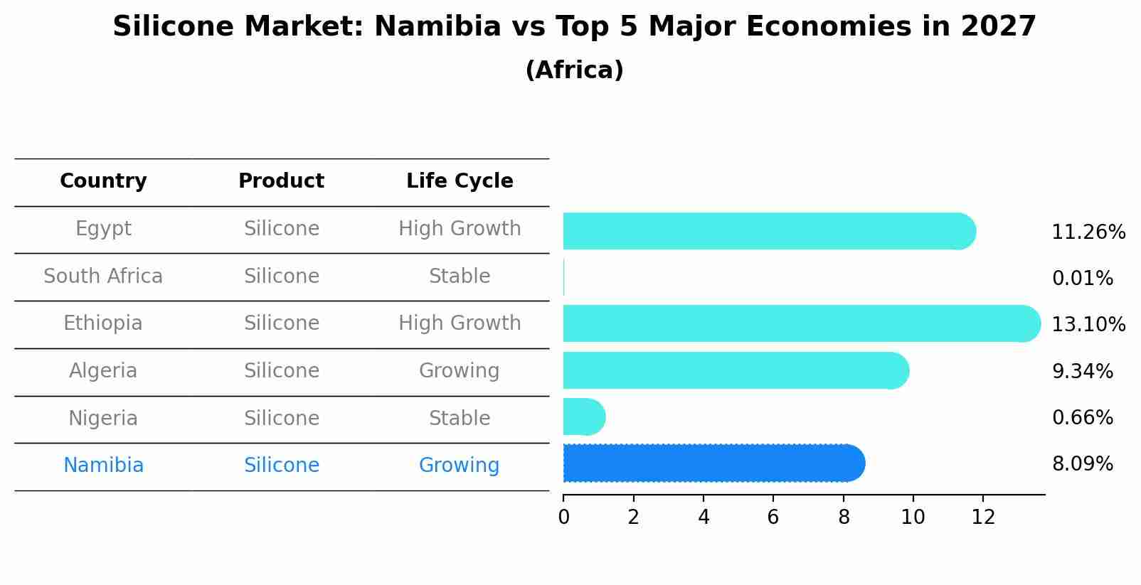 Silicone Market: Namibia vs Top 5 Major Economies in 2027 (Africa)
