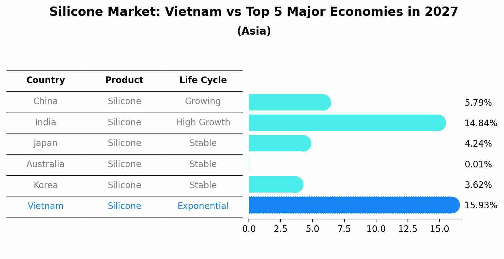 Silicone Market: Vietnam vs Top 5 Major Economies in 2027 (Asia)