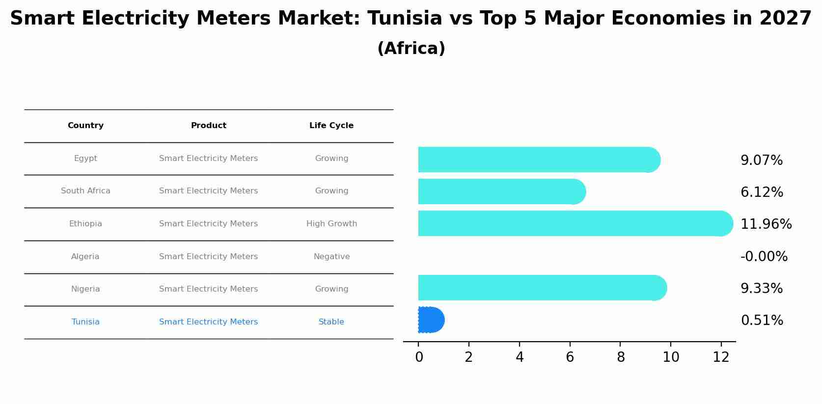 Smart Electricity Meters Market: Tunisia vs Top 5 Major Economies in 2027 (Africa)