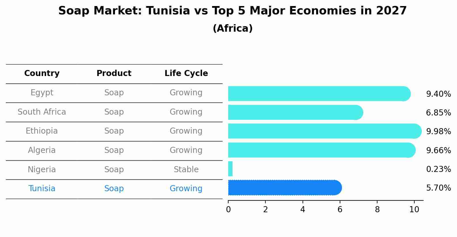 Soap Market: Tunisia vs Top 5 Major Economies in 2027 (Africa)