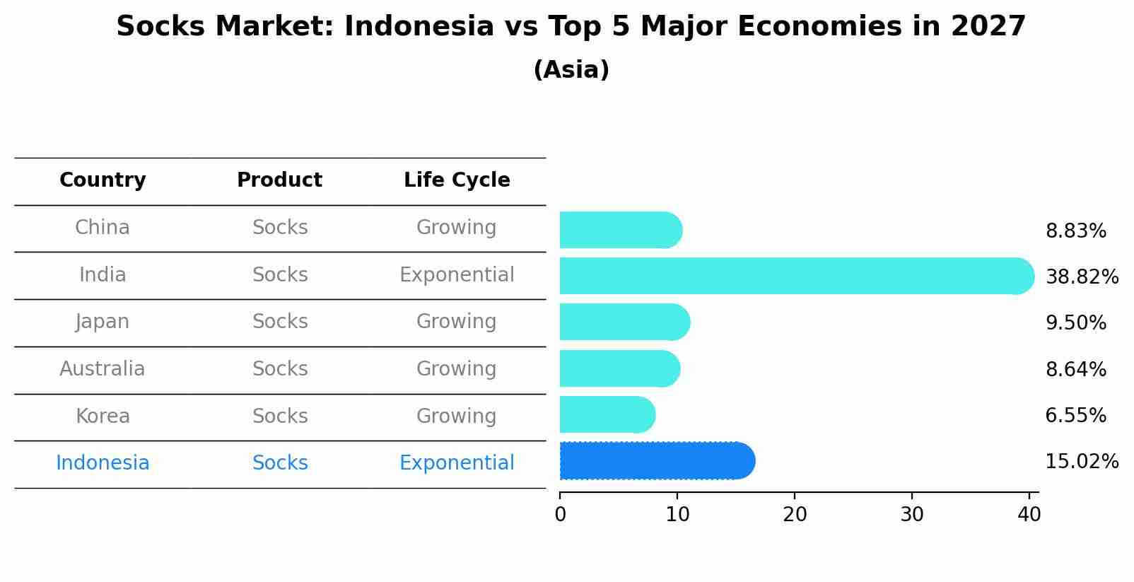 Socks Market: Indonesia vs Top 5 Major Economies in 2027 (Asia)