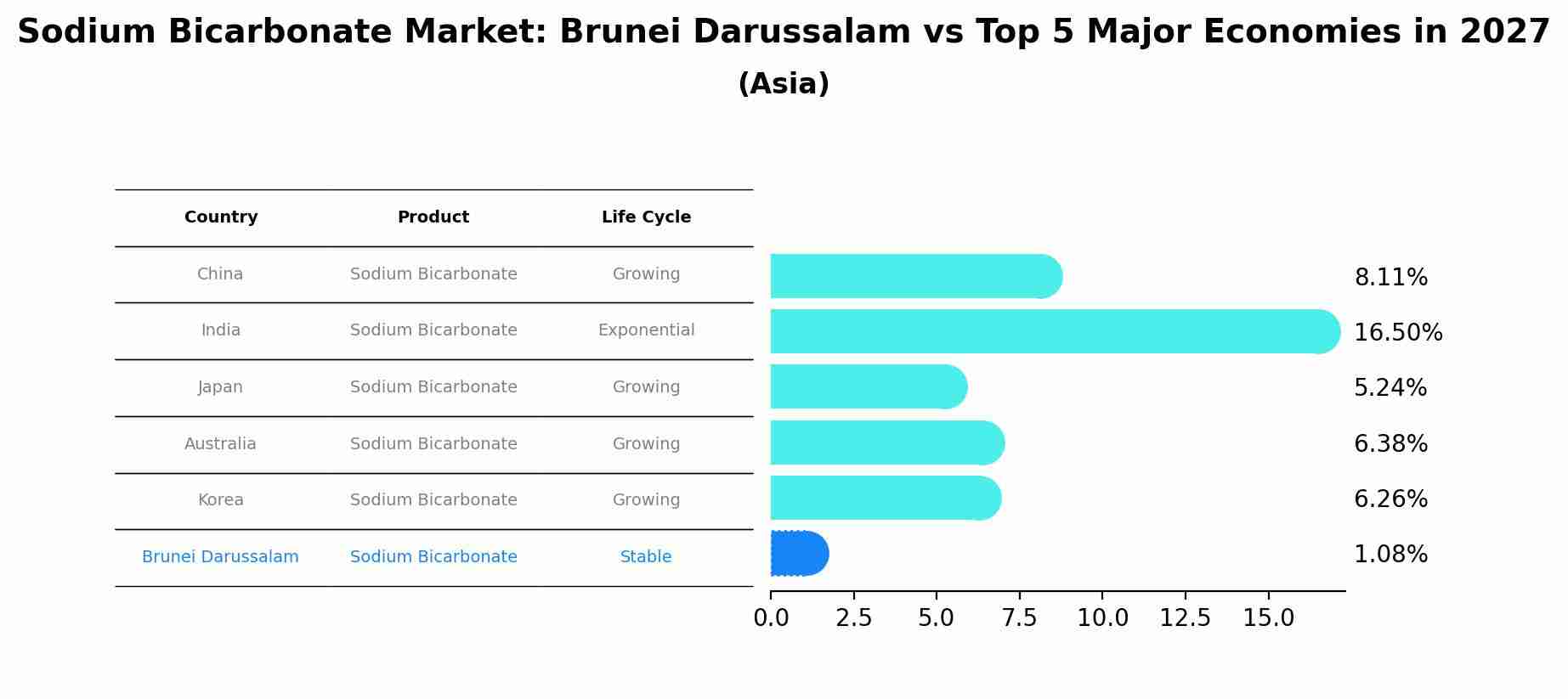 Sodium Bicarbonate Market: Brunei Darussalam vs Top 5 Major Economies in 2027 (Asia)